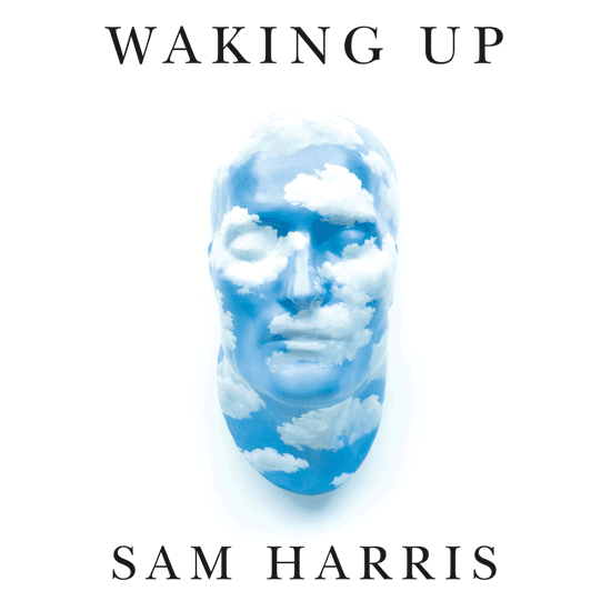 Notes: The Future of Intelligence on the Sam Harris Podcast